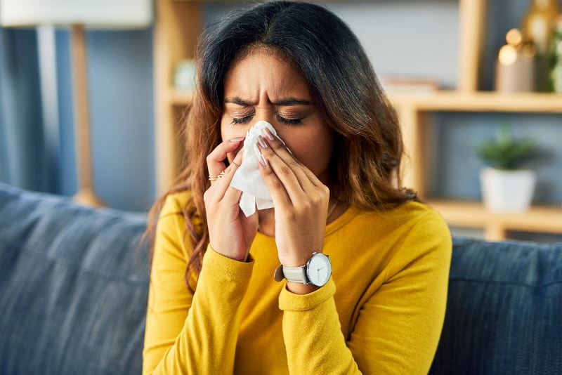 4 Tips to Control Allergens and Improve Air Quality in Tallahassee